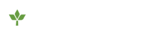 City of Dallas Logo-Transparent