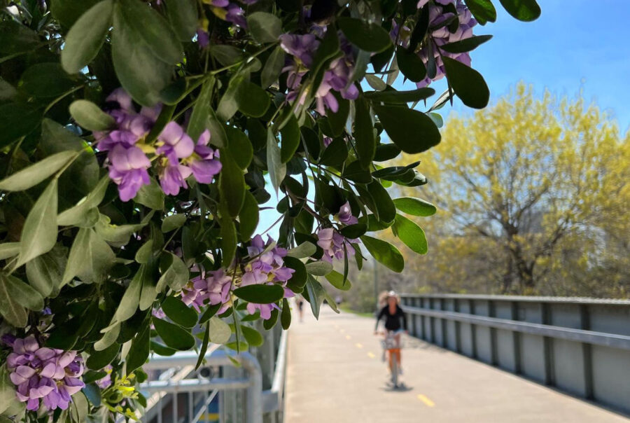 Katy Trail The Loop Dallas