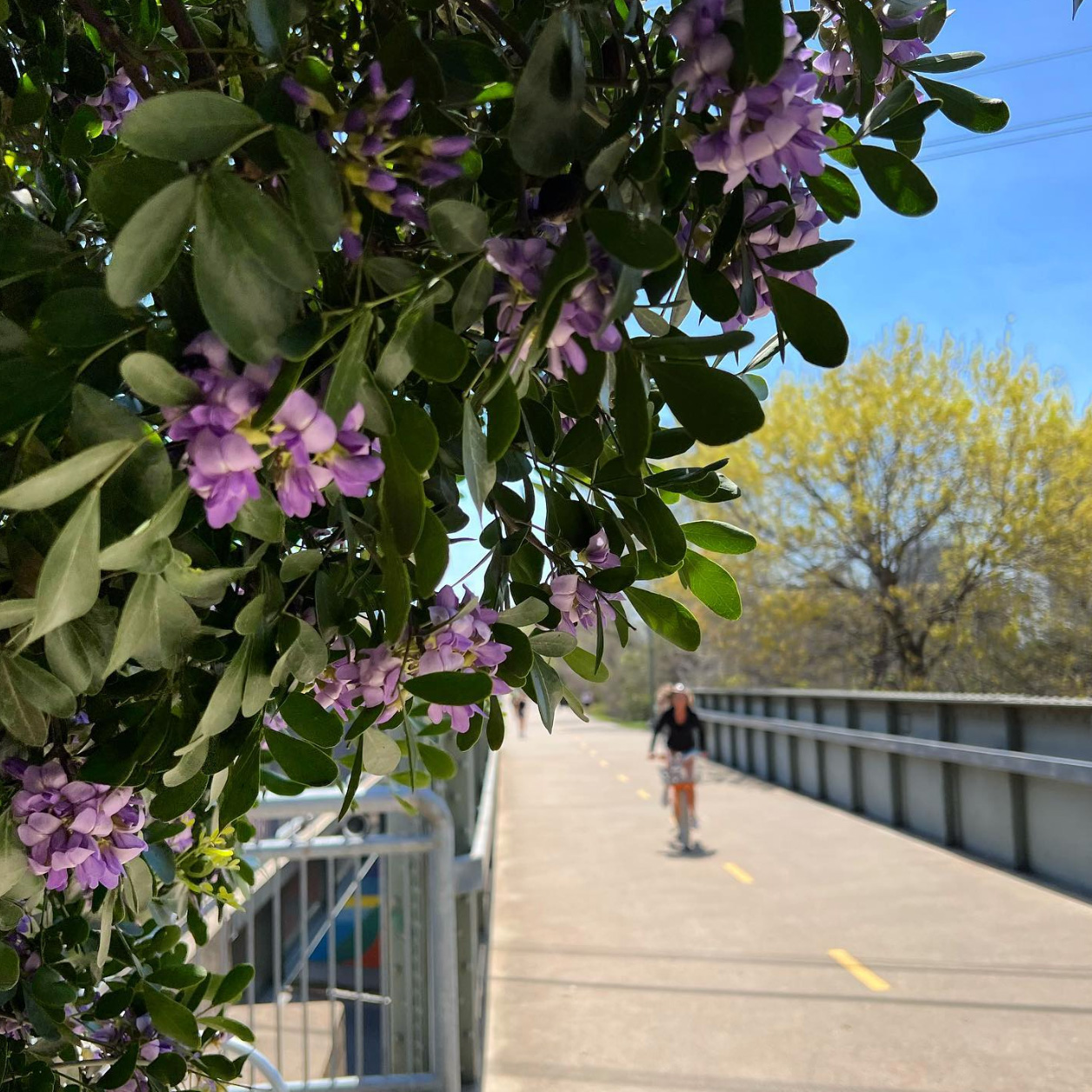 Get to know the Trails: The Katy Trail