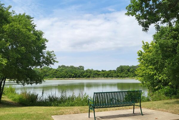 Trinity Forest Trail bench on the Loop Dallas