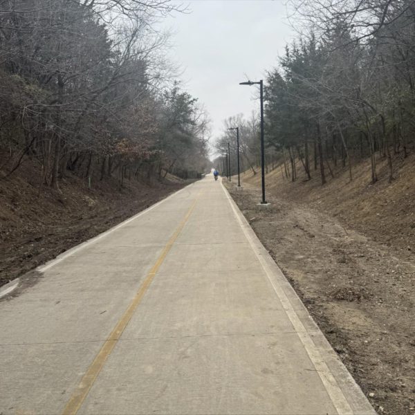cleared of privet