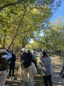Trinity Audubon Bird Watching Tour